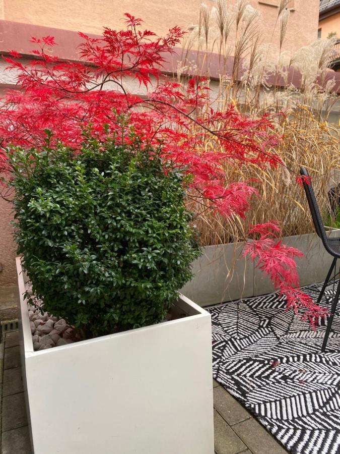 Como Design-Apartment Close To Isar River Area - Centrally Located Мюнхен Экстерьер фото