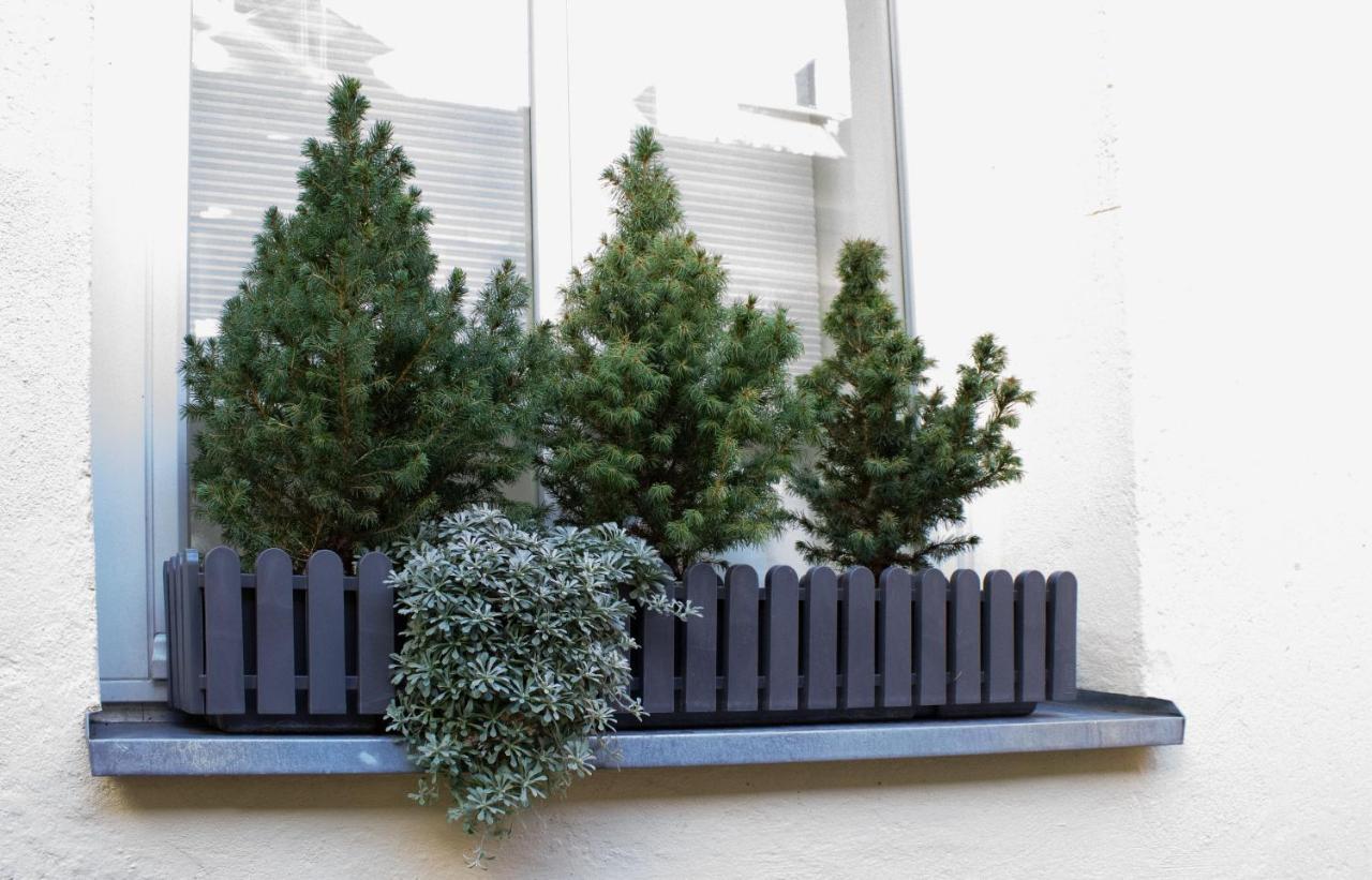 Como Design-Apartment Close To Isar River Area - Centrally Located Мюнхен Экстерьер фото